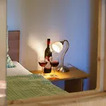 Hochegg Apartment Schladming