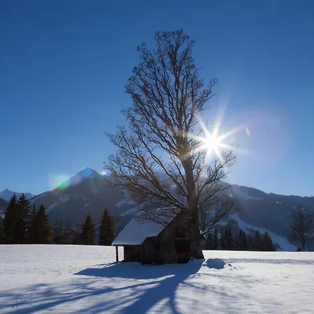 Hochegg Apartment Schladming