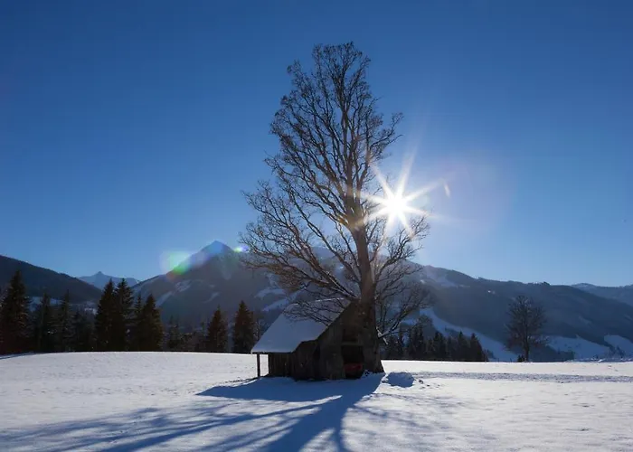 Hochegg Apartman Schladming